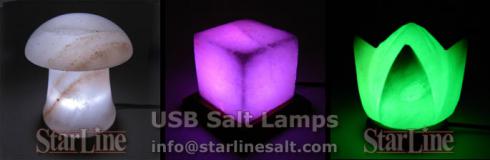 Himalayan Salt USB Lamps